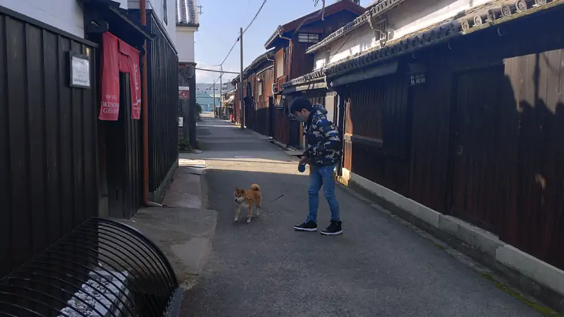 doggy2.jpg